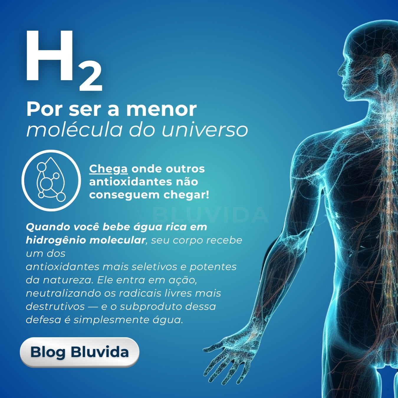 Imagem direita