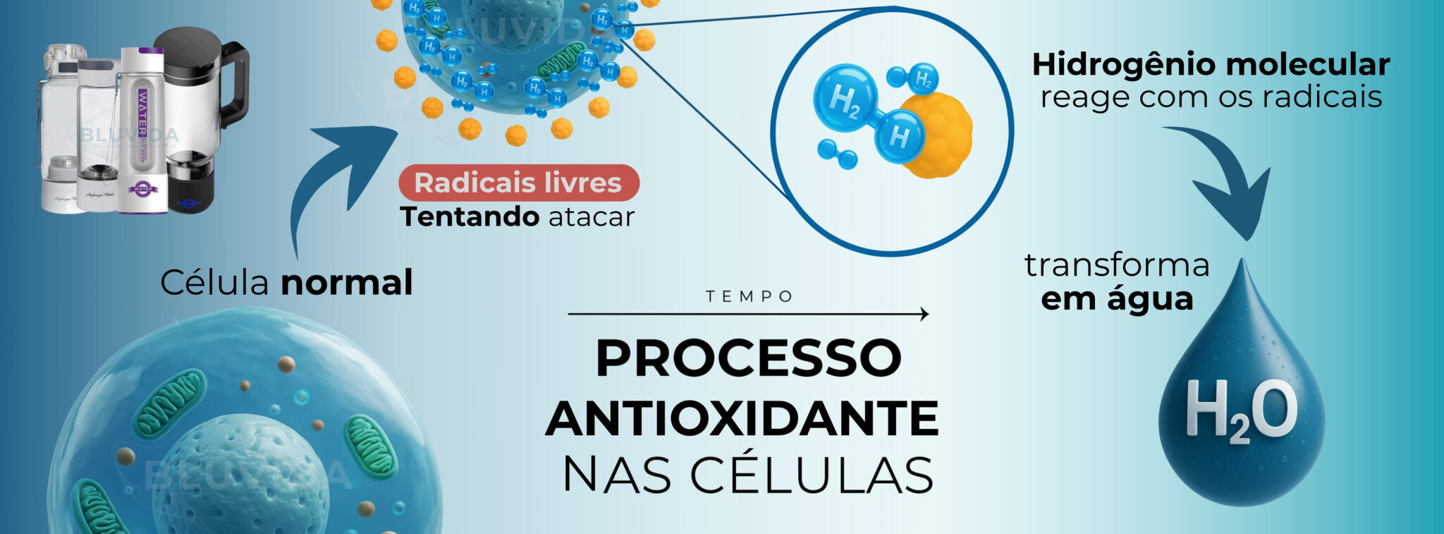 Processo antioxidante do hidrogênio molecular